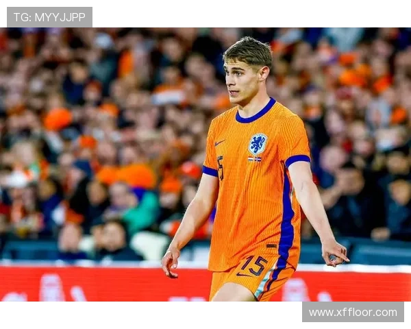 法兰克福赛范德芬波罗缺席训练